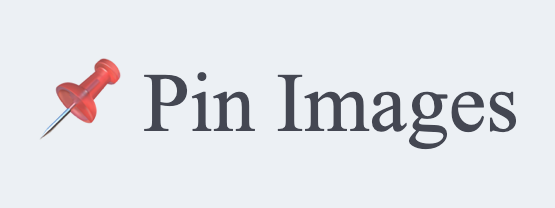 Pin button